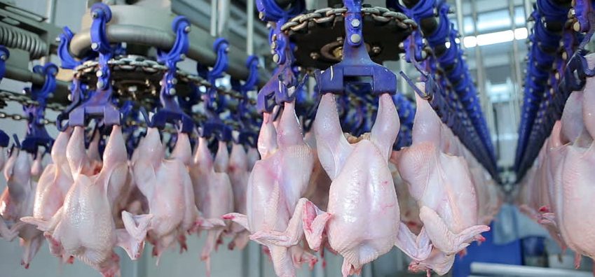 ANSEJ ANGEM CNAC ANDI